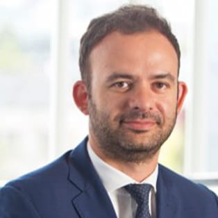 Profile picture of Radu  Badiceanu